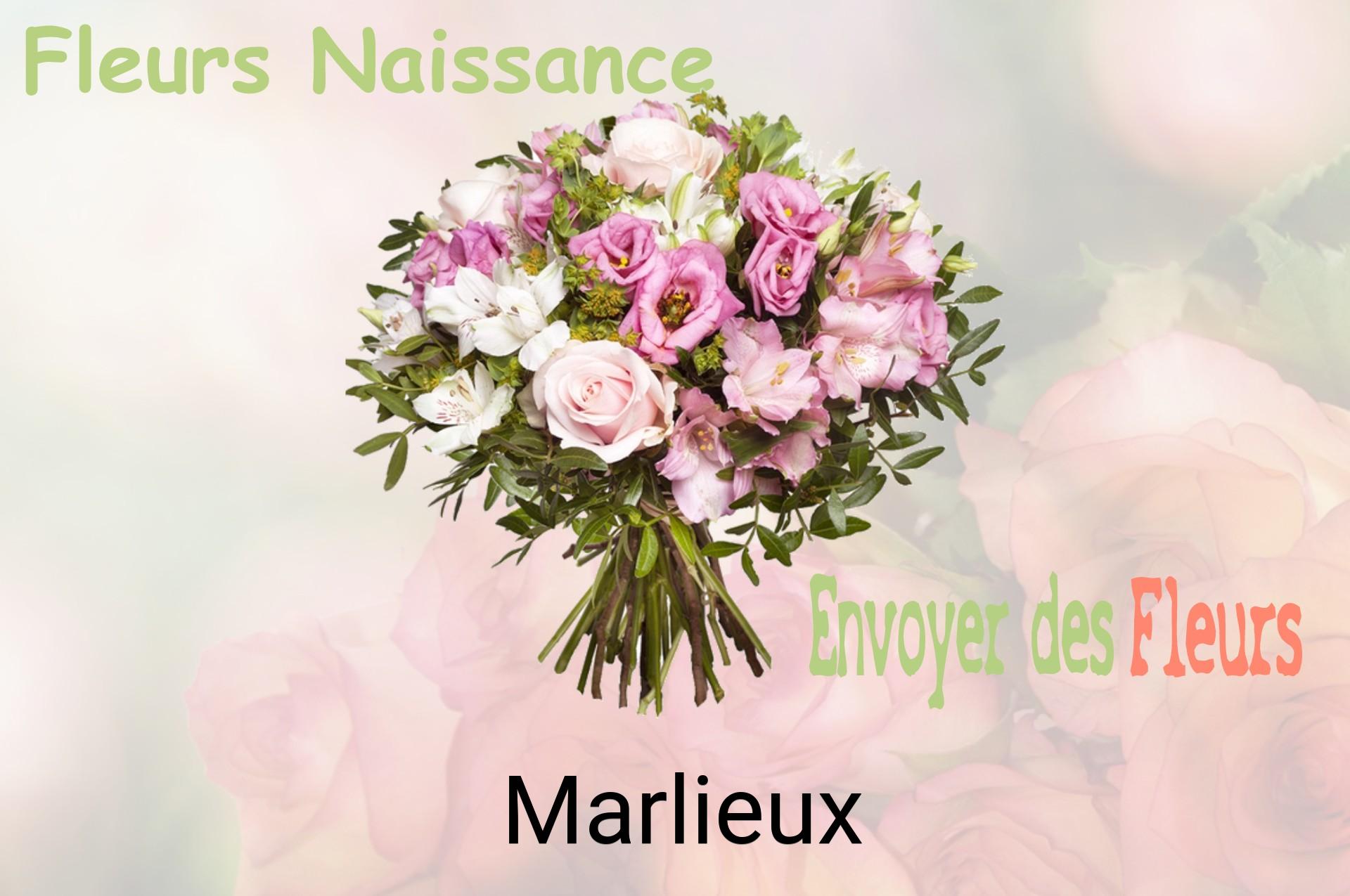 Bouquet de fleurs de naissance livré à Marlieux